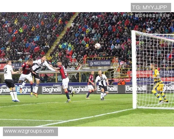 布赖顿主场迎战切尔西双方争夺英超宝贵三分之战