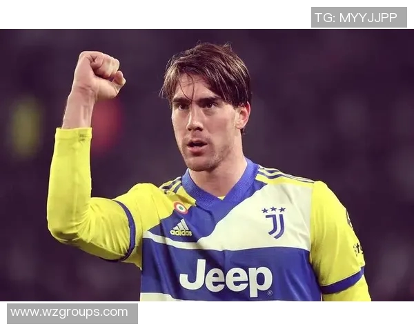 弗拉霍维奇的崛起与未来展望解析足球界的新星魅力与挑战