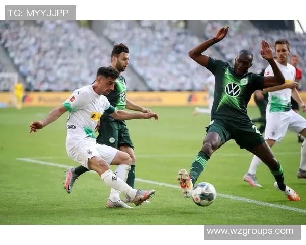 沃尔夫斯堡签约巴西球员，实力大增