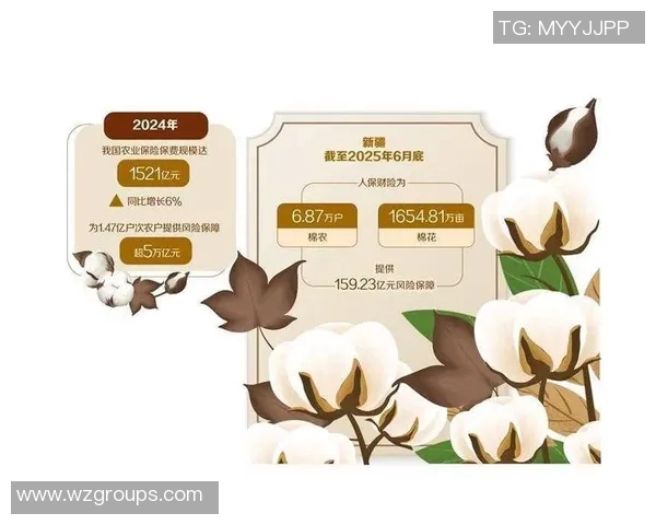 棉农独立分析：探讨棉花产业链中的挑战与机遇