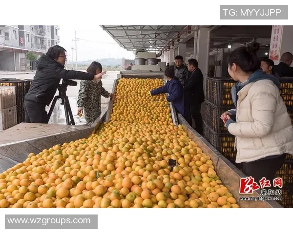 麻阳足球比赛高清直播视频精彩回放与赛况分析全方位呈现