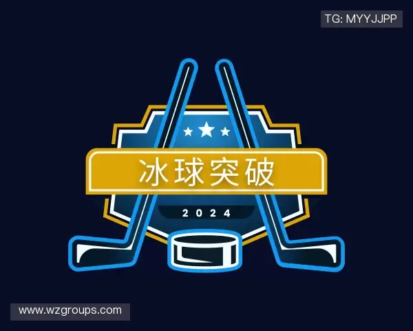 介绍冰球突破网址